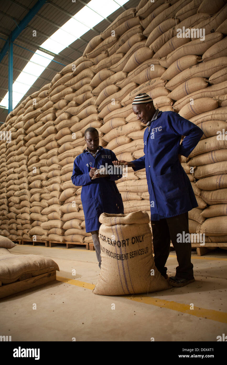 Workers prepare coffee beans for export at a warehouse in Kampala