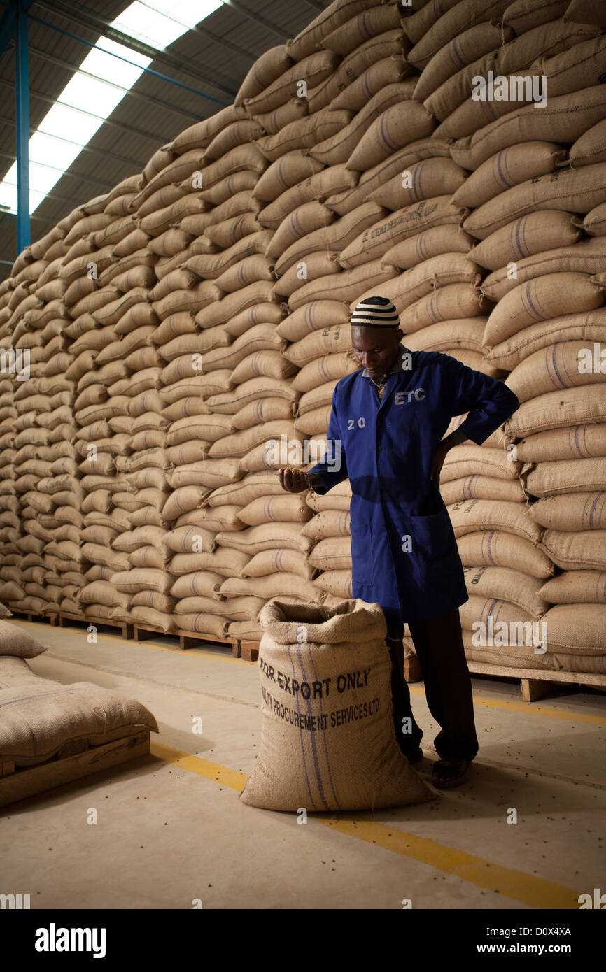 coffee bean exporters