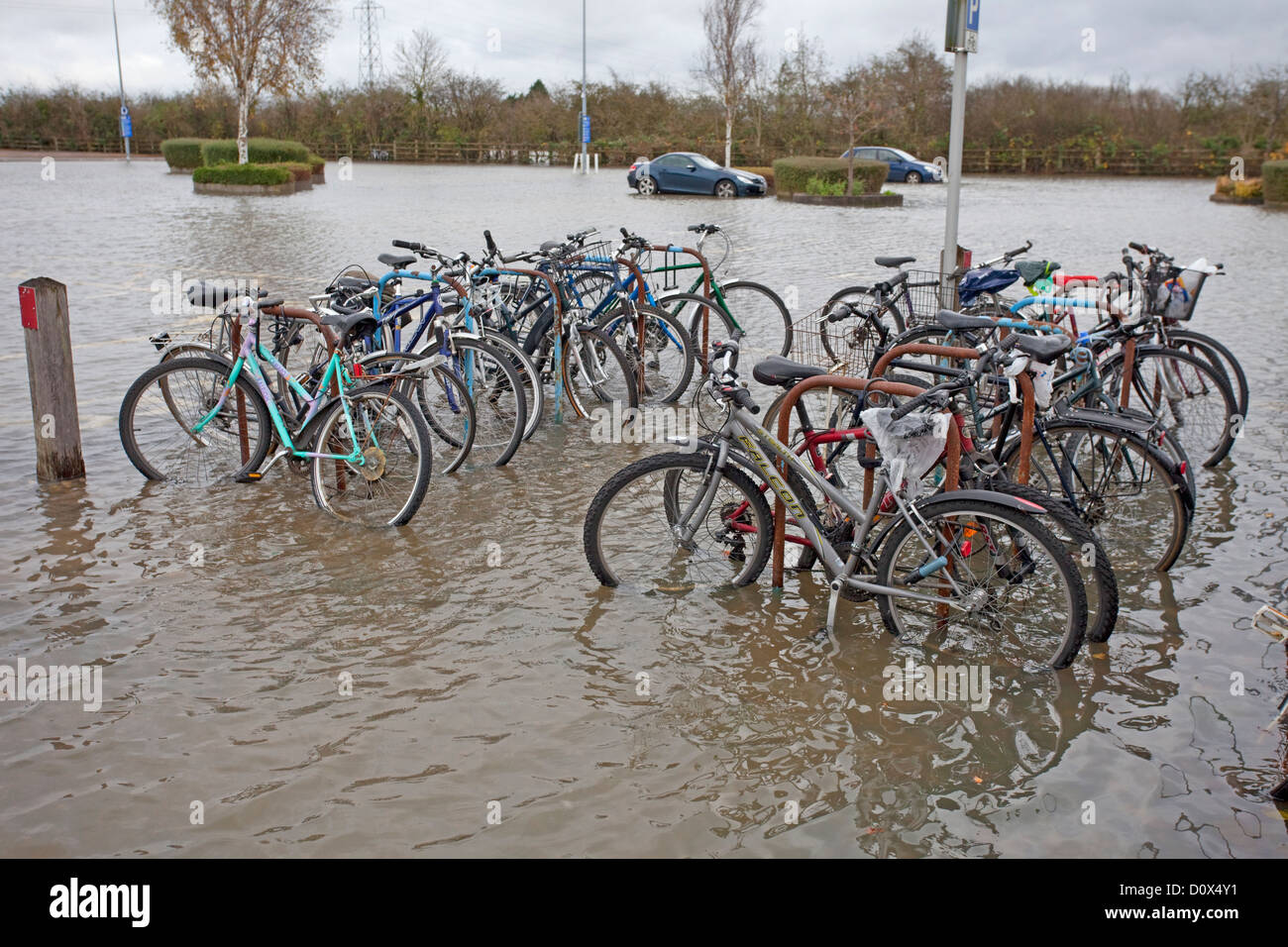 bikes at sea court park and ride oxford Stock Photo Alamy