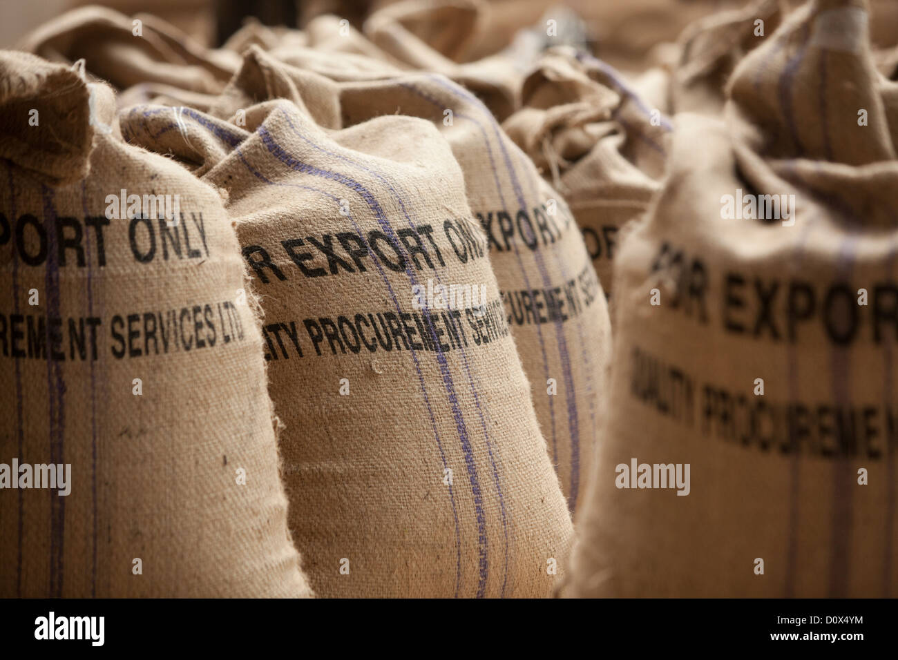 Bags of coffee beans are ready for export at a warehouse in Kampala, Uganda, East Africa. Stock Photo