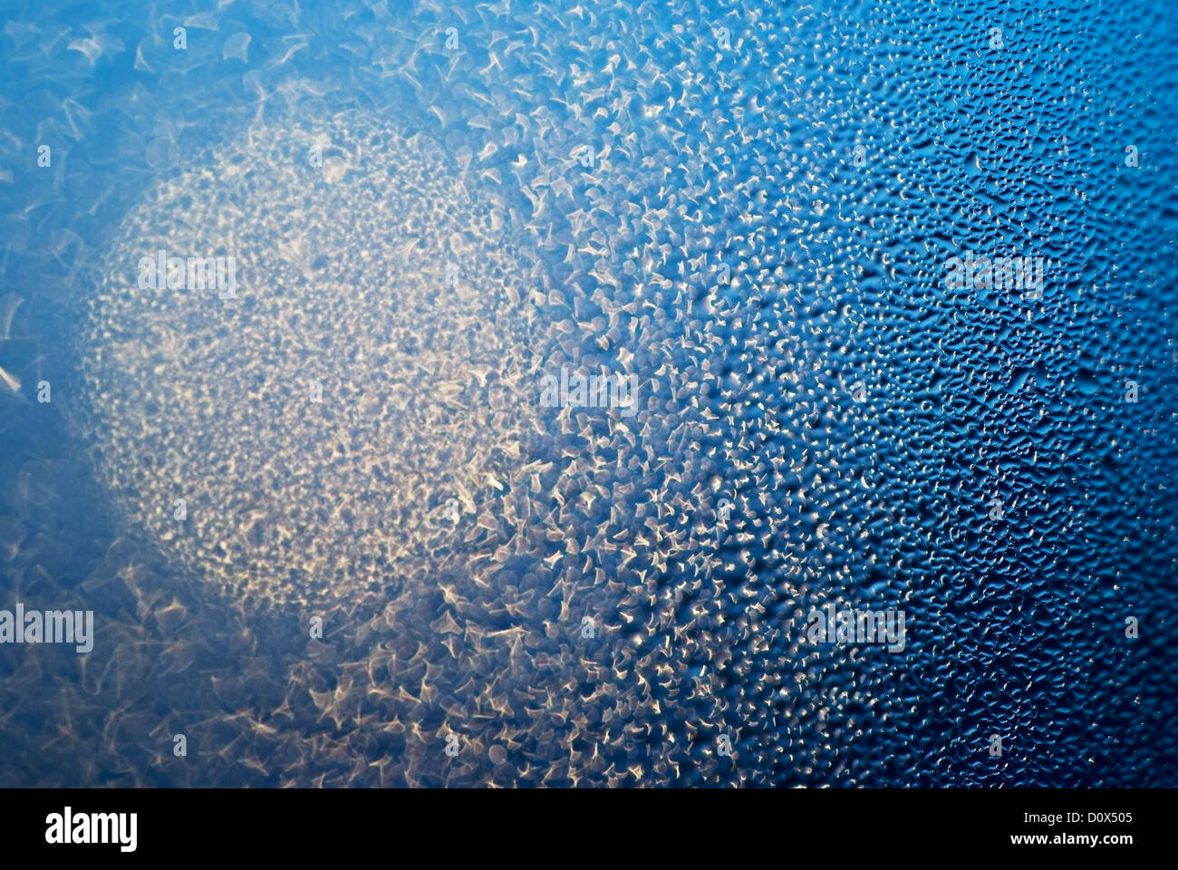 Navy blue glitter background hi-res stock photography and images - Alamy