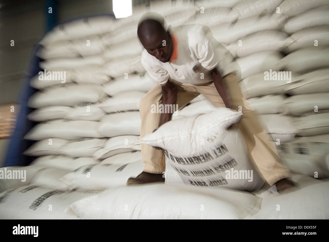 A worker loads sacks of corn at a warehouse in Kampala, Uganda, East Africa. Stock Photo