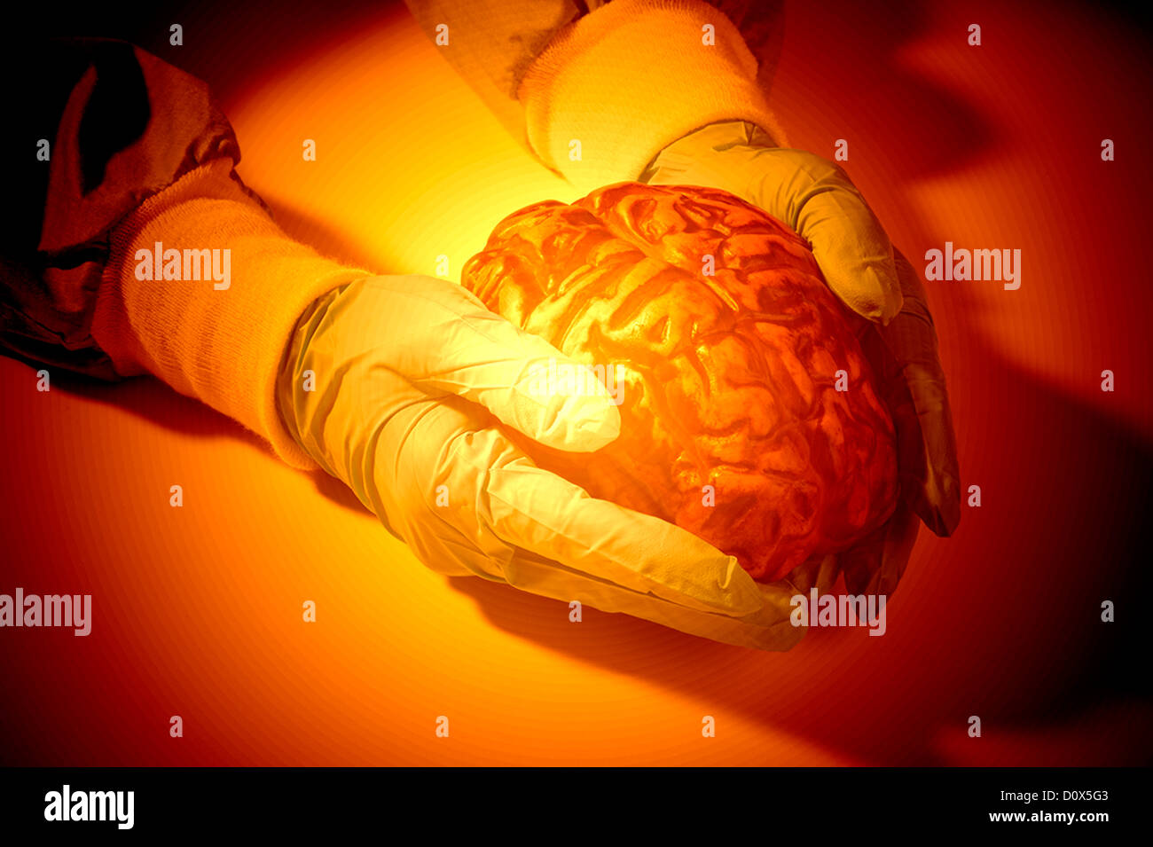computer generated gloved hands holding human brain abstract Stock Photo