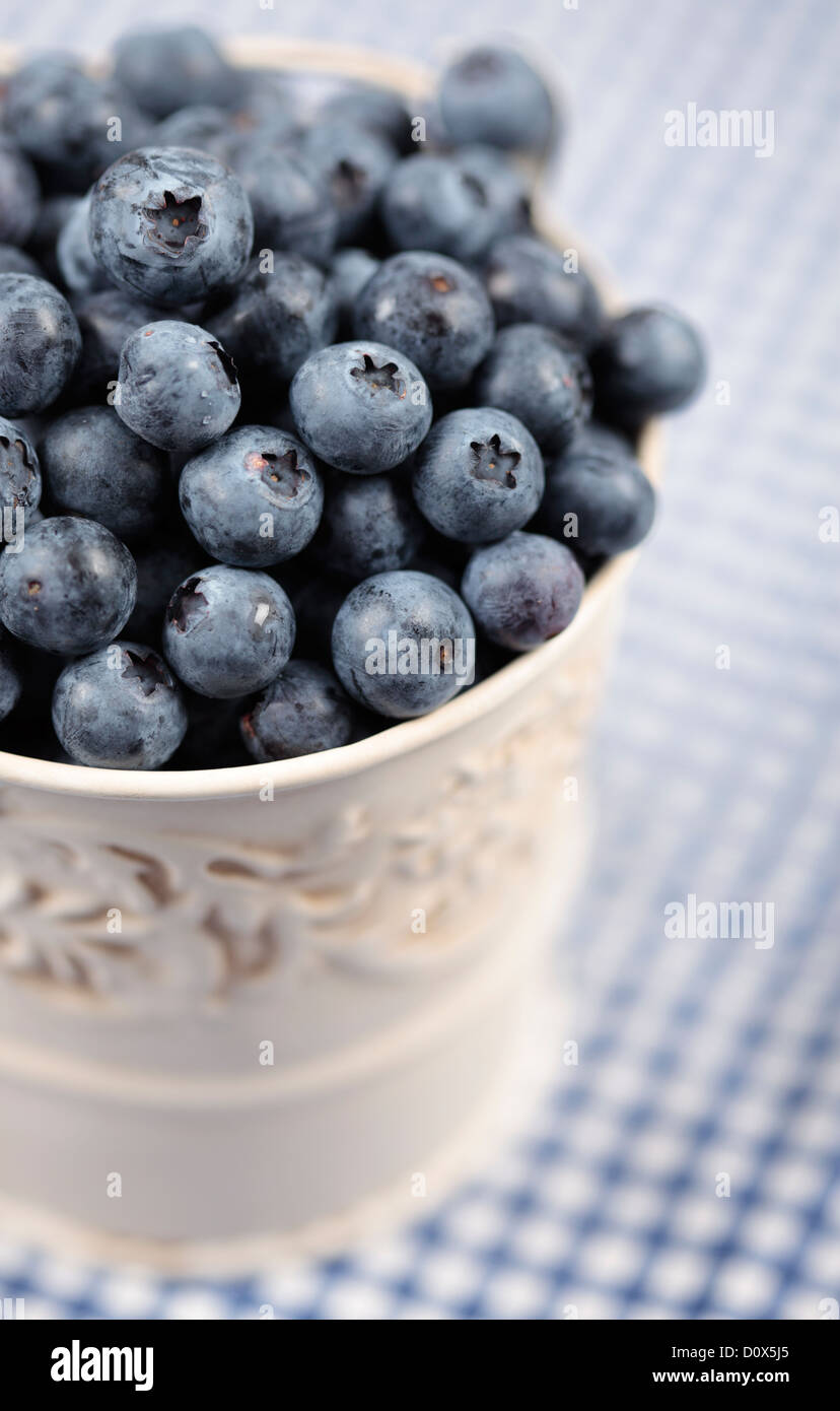 Blueberries in Pot Stock Photo Alamy