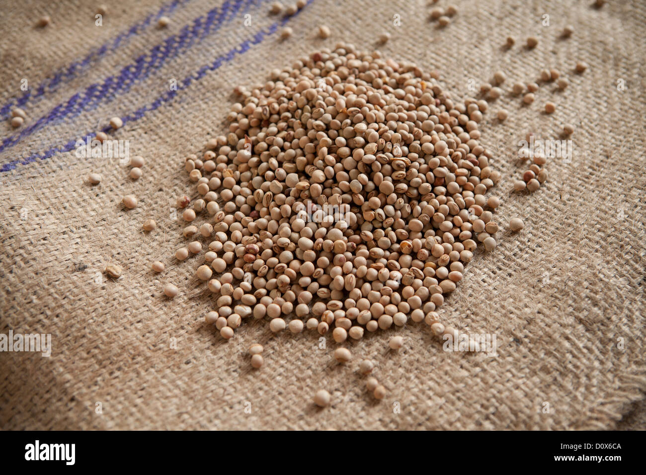 Pigeon peas (lentils or pulses) at a commodities warehouse in Dar es Salaam, Tanzania, East Africa. Stock Photo