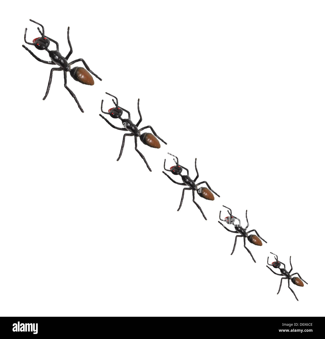 Line ants hires stock photography and images Alamy