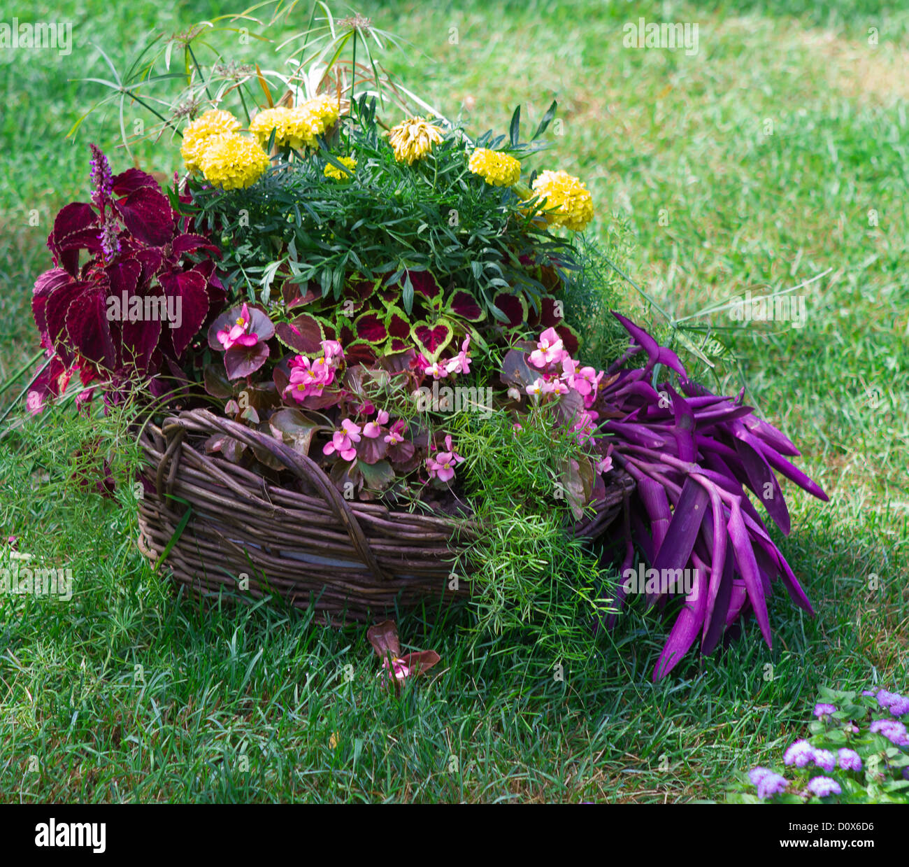 My Image 12