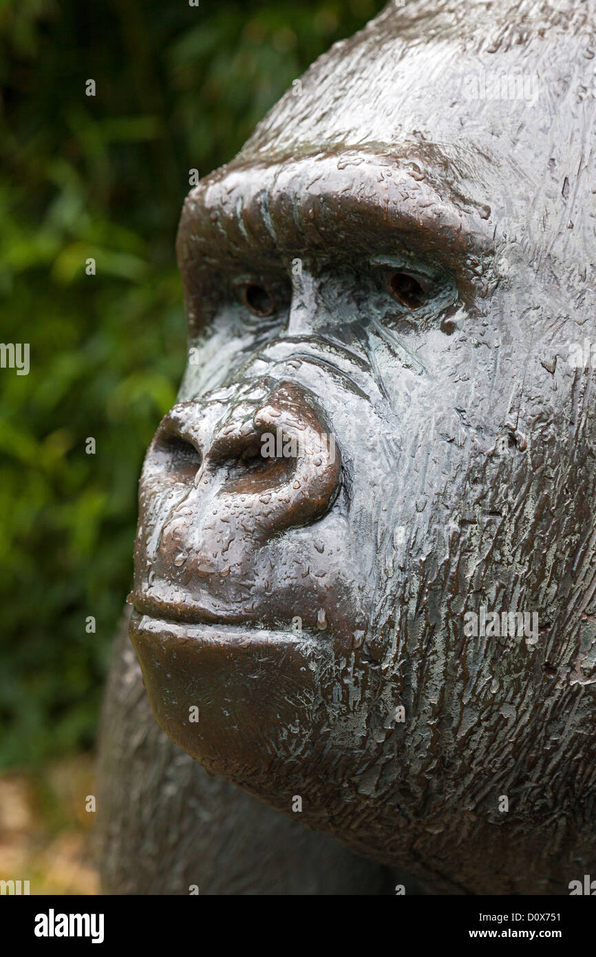 Metal statue of Jambo, a Mountain Gorilla at Durrell Wildlife Park, Jersey, Channel Islands, UK Stock Photo
