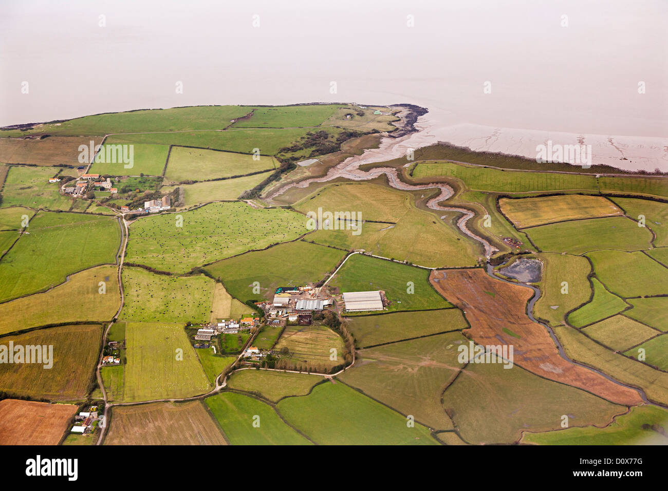 Farmland at Woodspring Bay, Wick St Lawrence, on the banks of the River Severn, Somerset, England, UK Stock Photo