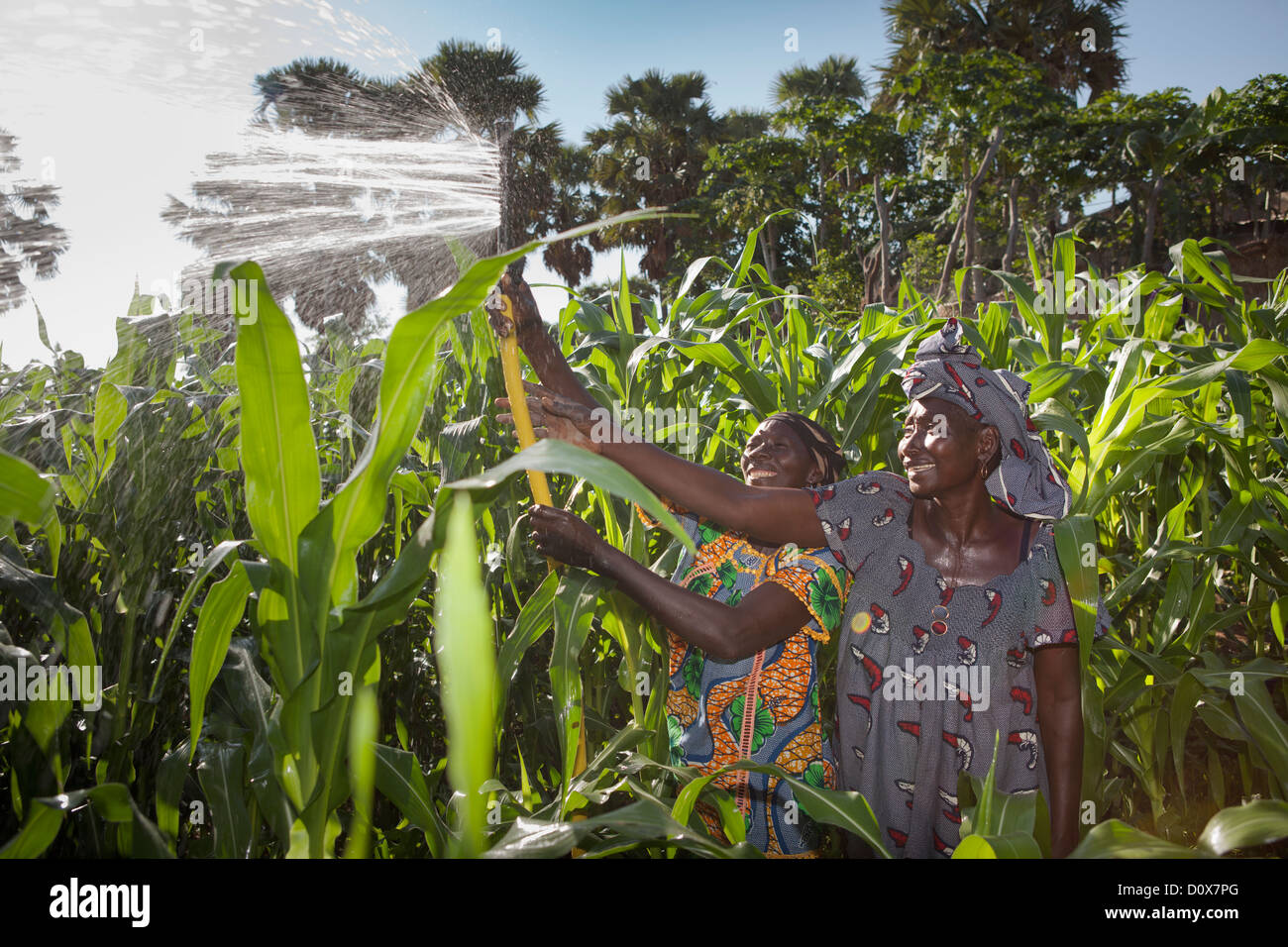Women water their garden with the help of treadle pump irrigation system in Doba, Chad, Africa. Stock Photo