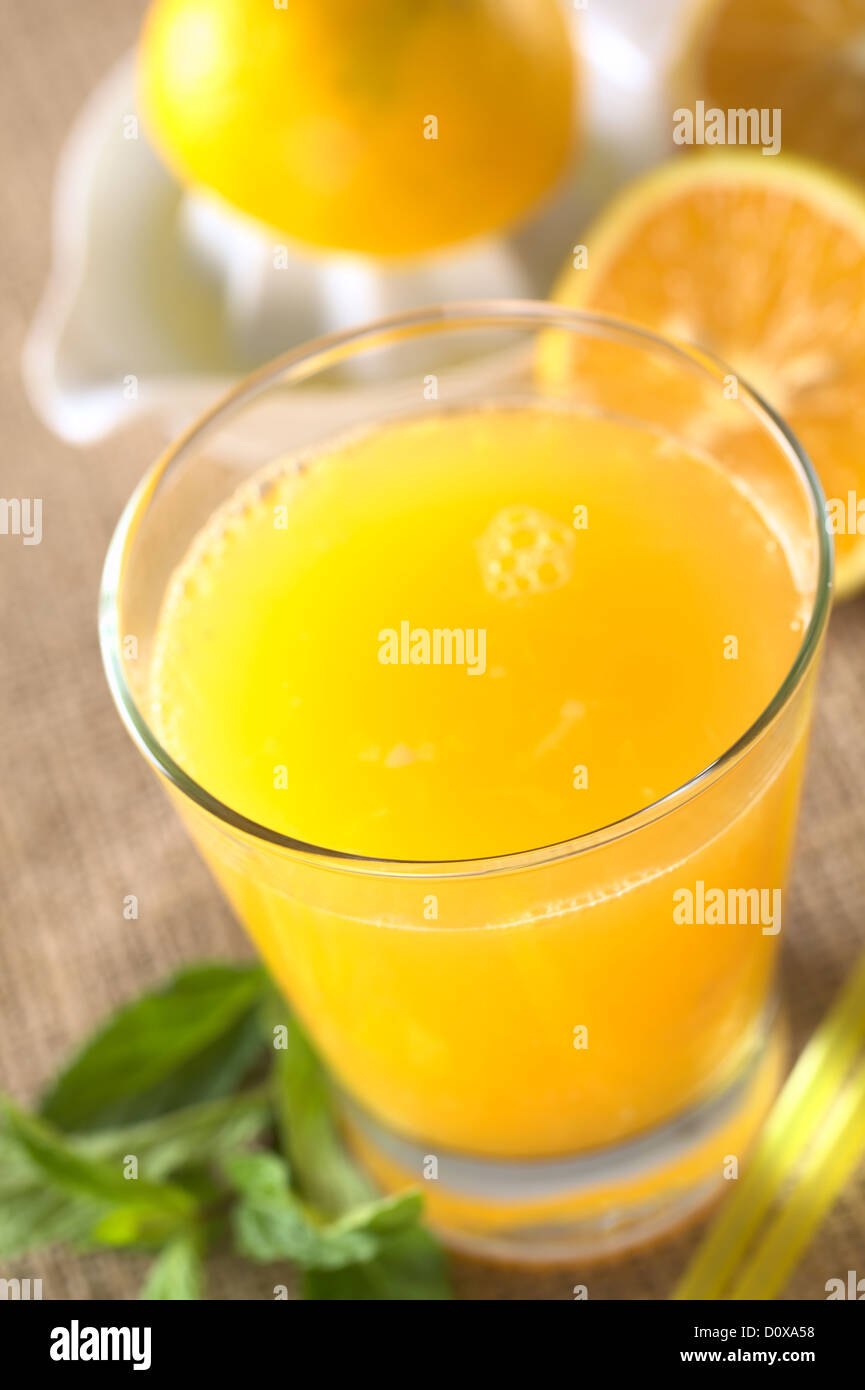 Freshly squeezed orange juice with mint leaves, drinking straws