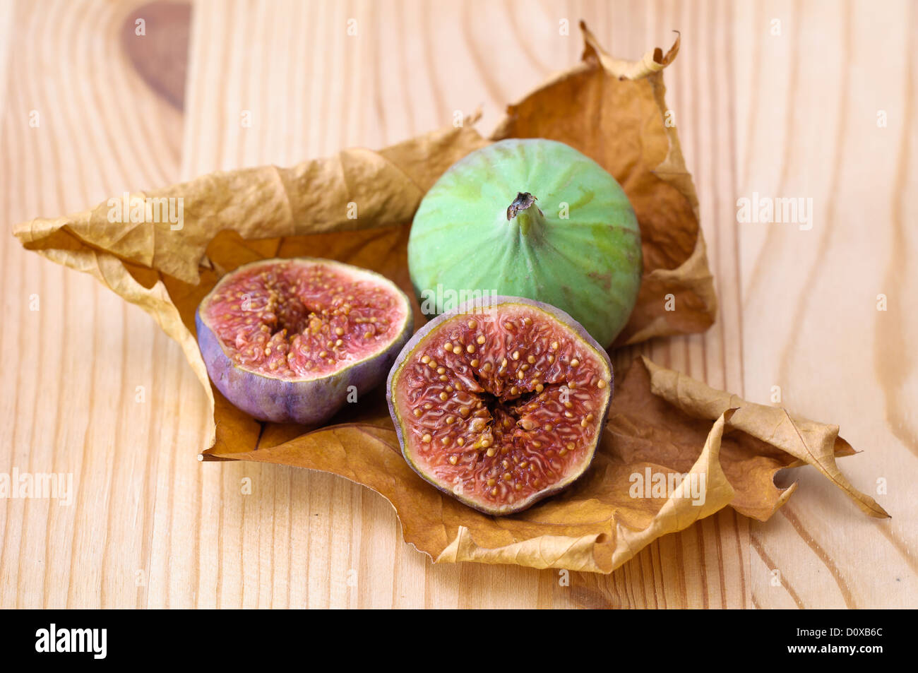 Seasonal still life: figs on a dried brown leaf. Stock Photo