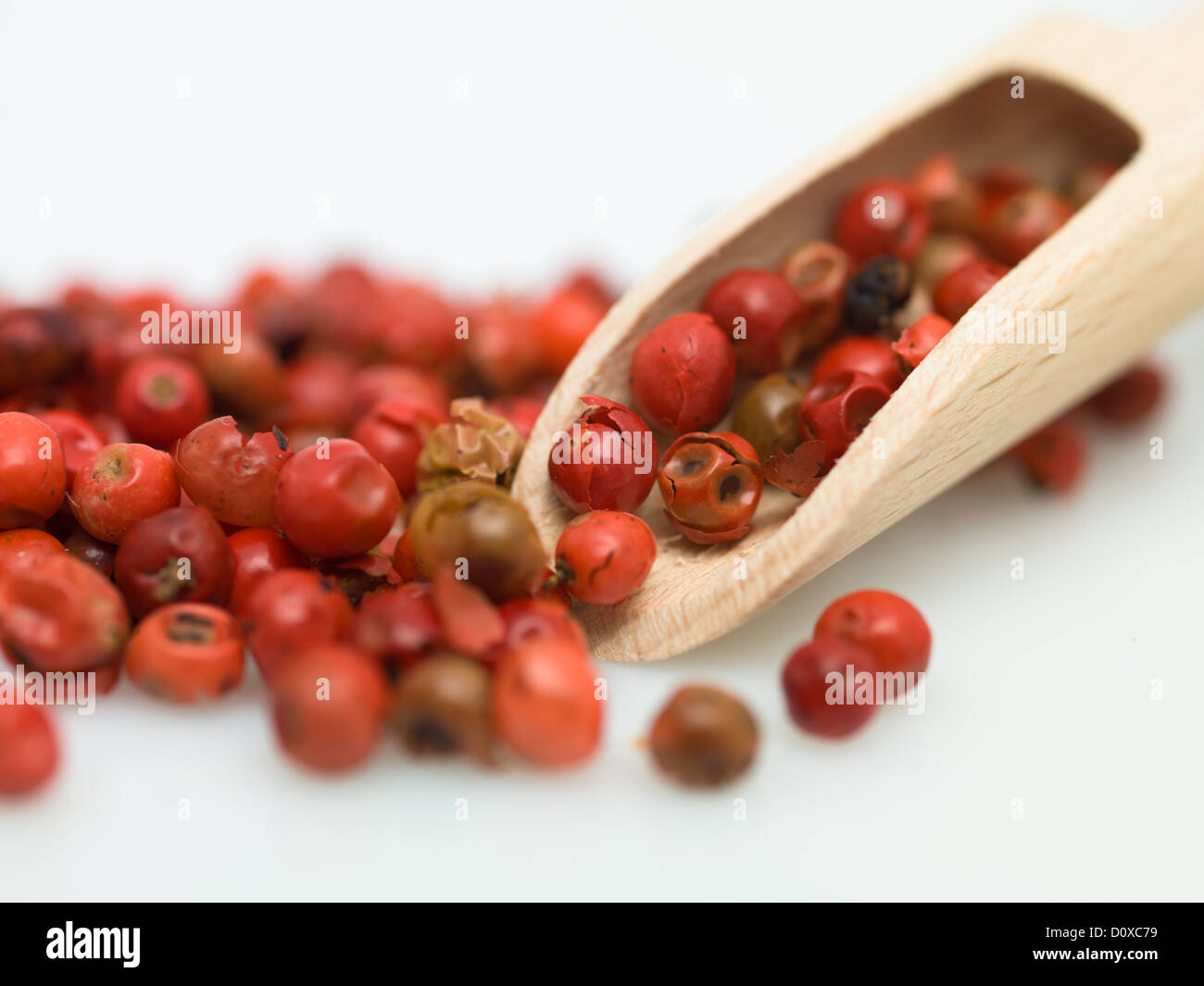 Timber Pepper red pepper spice timber object Stock Photo - Alamy
