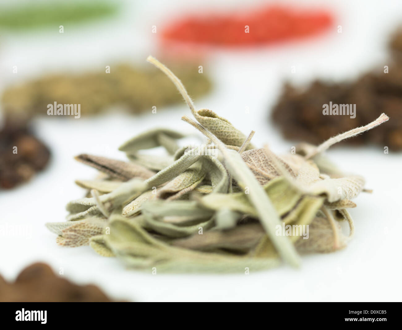round spices on white background macro close-up detail colorful Stock Photo