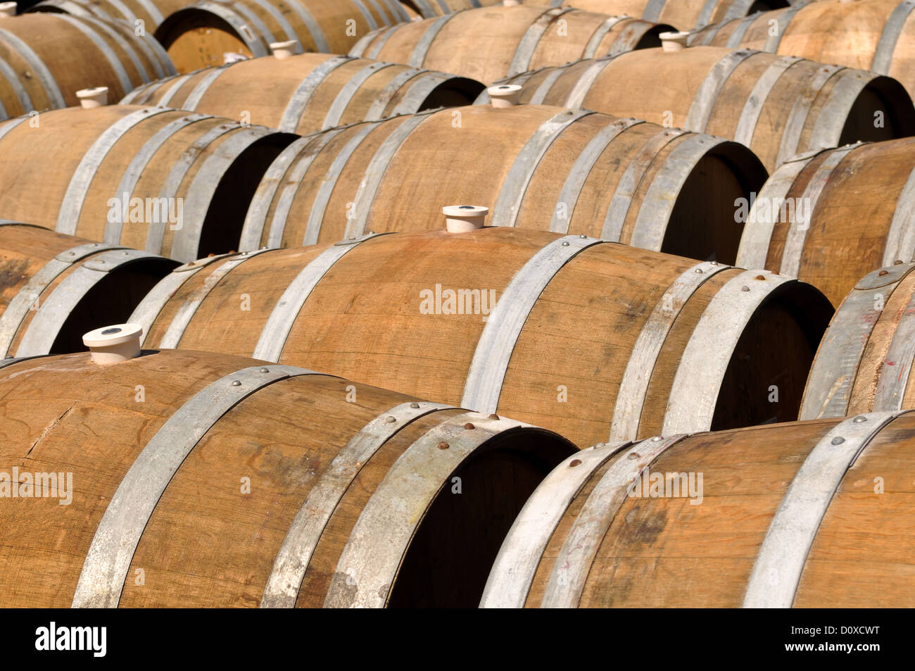 Several Wine Barrels in a Row Stock Photo - Alamy