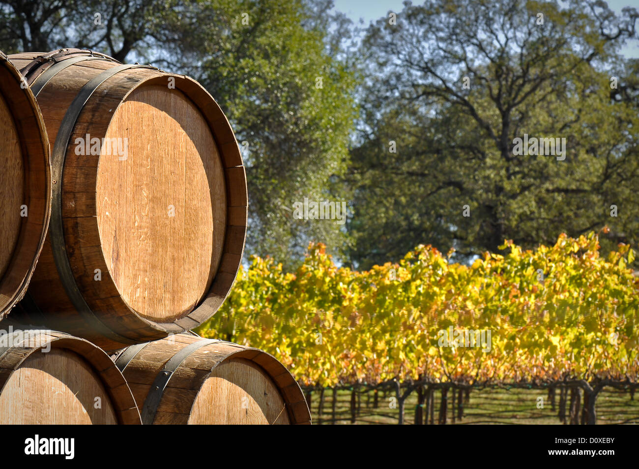 Barrel used to store vintage Wine Stock Photo Alamy