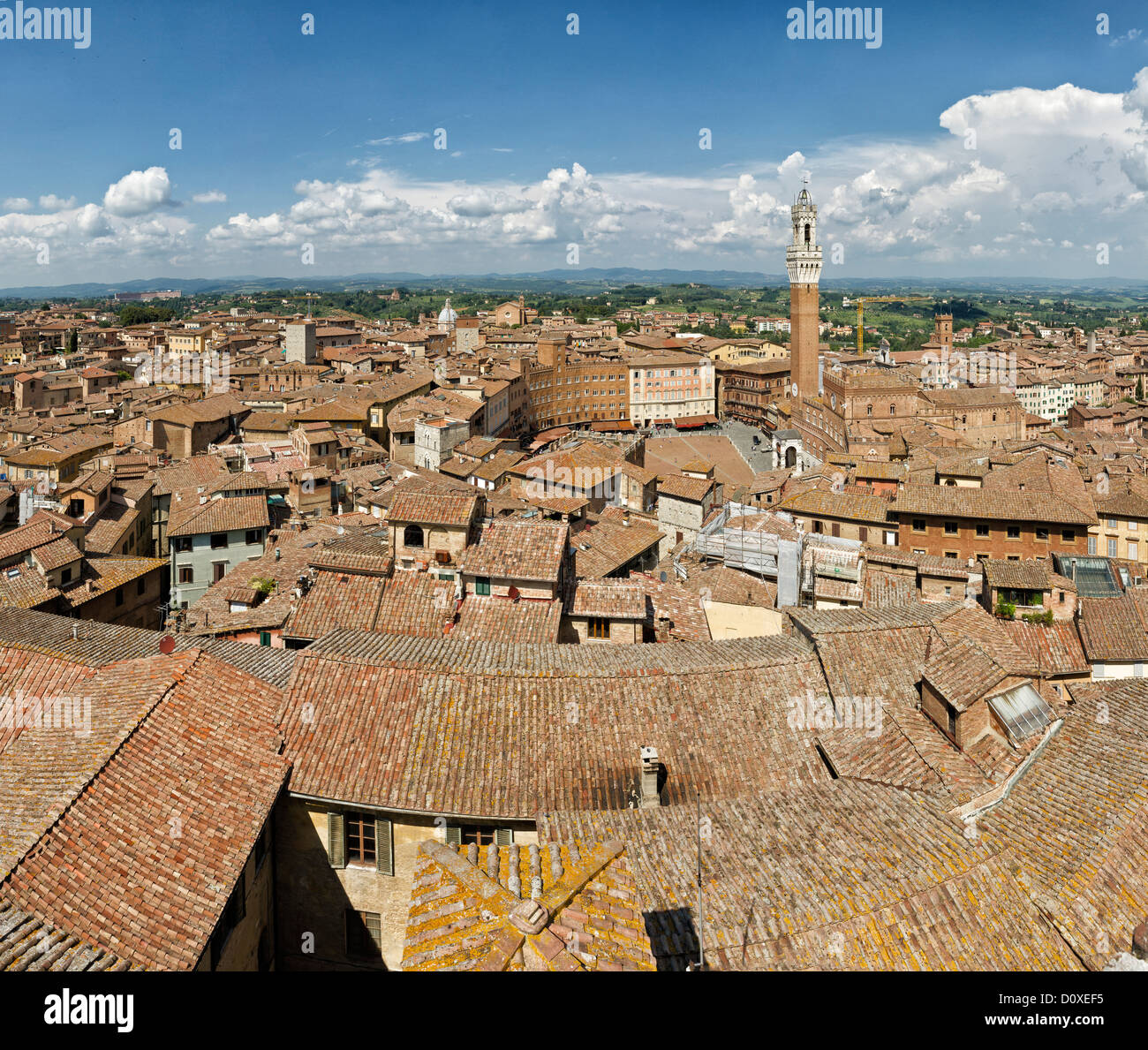 Siena, Sienna, Italy, Europe, Tuscany, Toscana, roofs, houses, homes