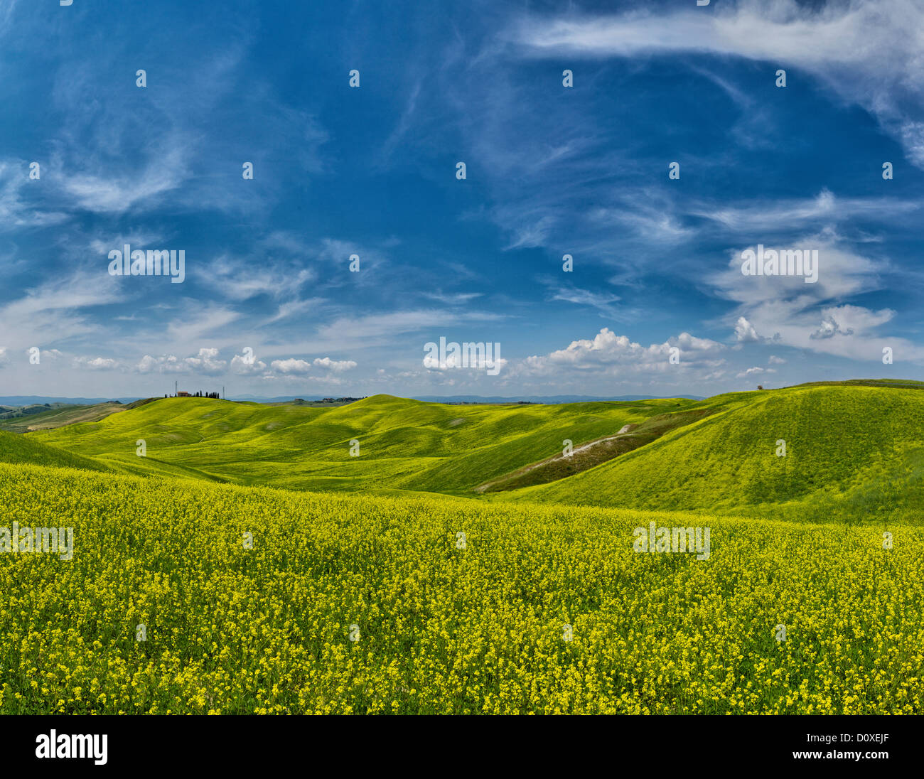 Arbia, Italy, Europe, Tuscany, Toscana, fields, hills, scenery, green Stock Photo