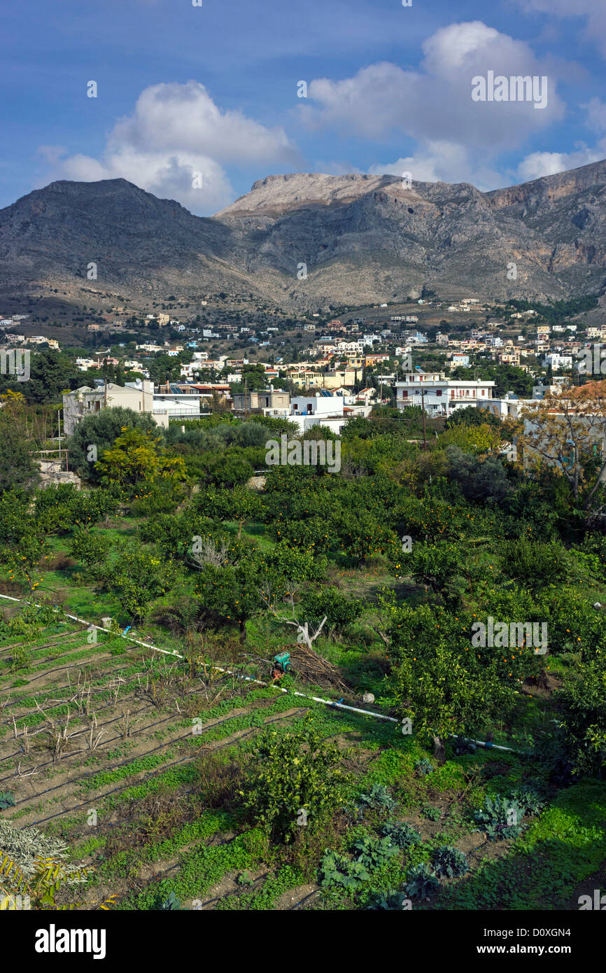 Green cultivated land, white houses and distant mountains, Kalymnos, Greece Stock Photo
