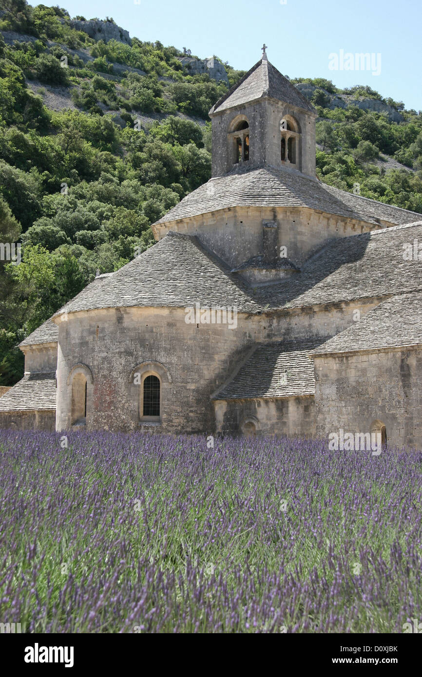 France, Europe, Provence, Abbaye Notre Dame de Sénanque, Senanque, cloister, abbey, lavender, lavender field Stock Photo