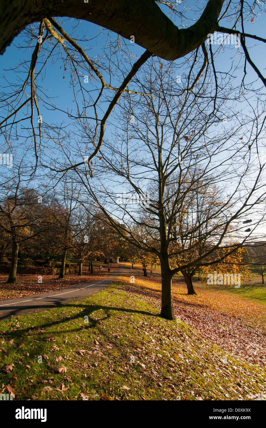 Autumn scene in Gadebridge Park, Hemel Hempstead, Hertfordshire, England, UK. Stock Photo