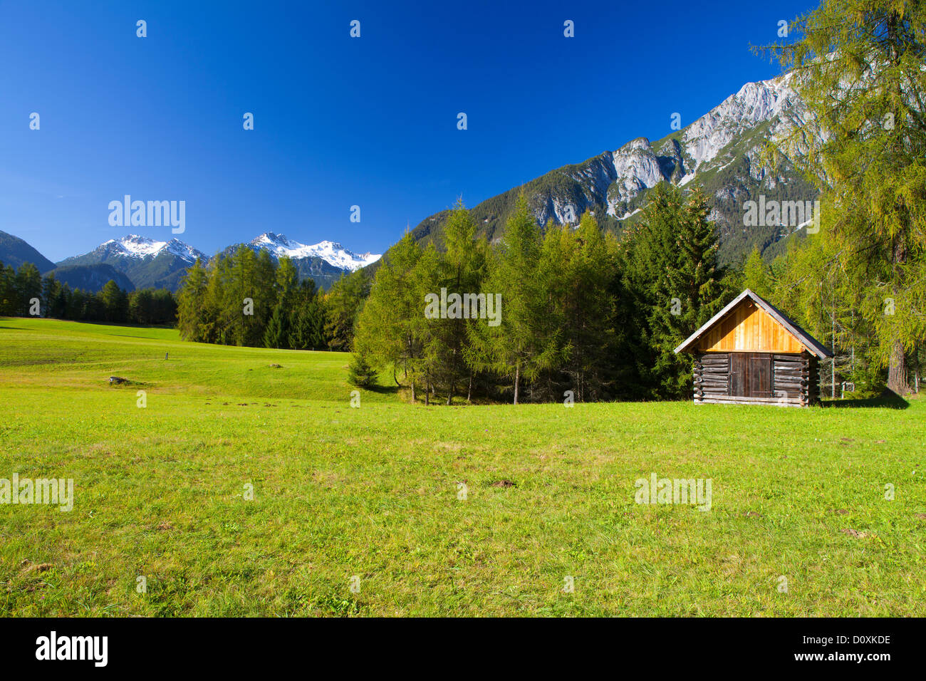 Austria, Europe, Tyrol, Tirol, Mieming, chain, plateau, Obsteig, larches, larch meadows, meadow, mountain, mountains, Lechtal, A Stock Photo