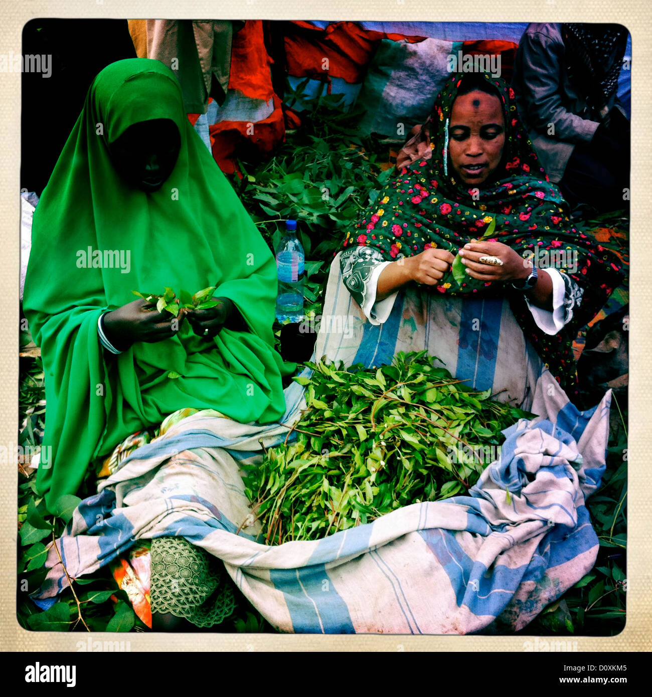 Awaday khat market near Harar Ethiopia Stock Photo Alamy
