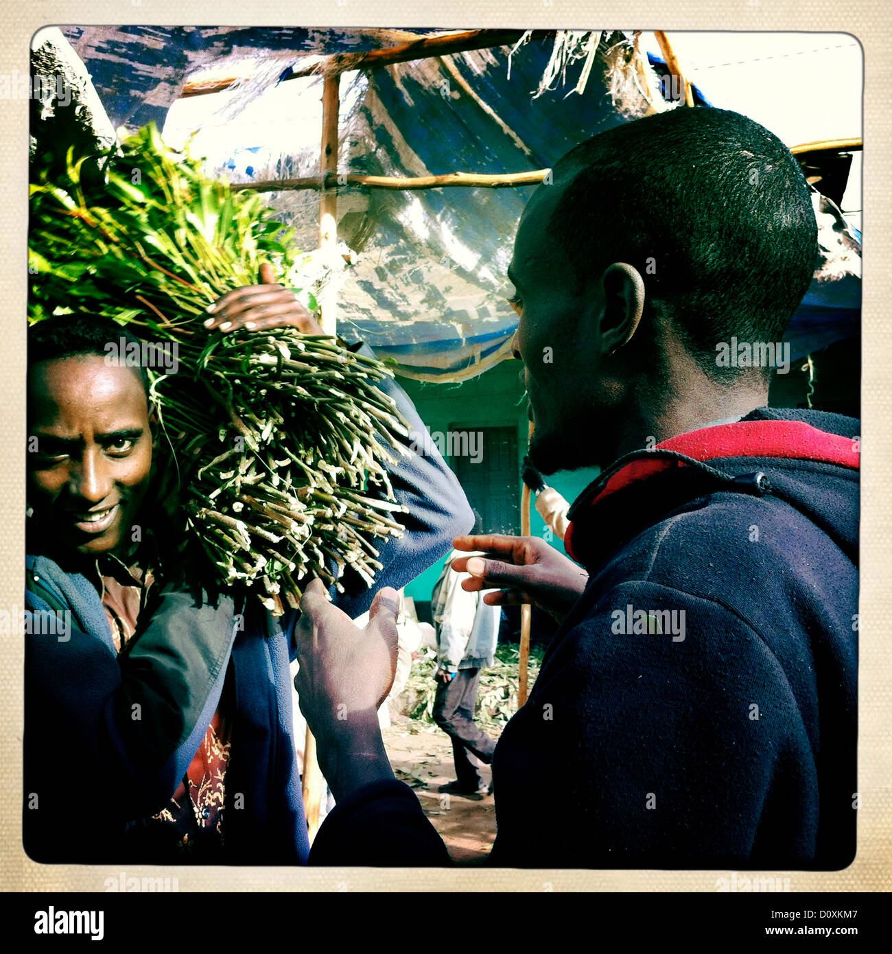 Awaday khat market near Harar Ethiopia Stock Photo Alamy