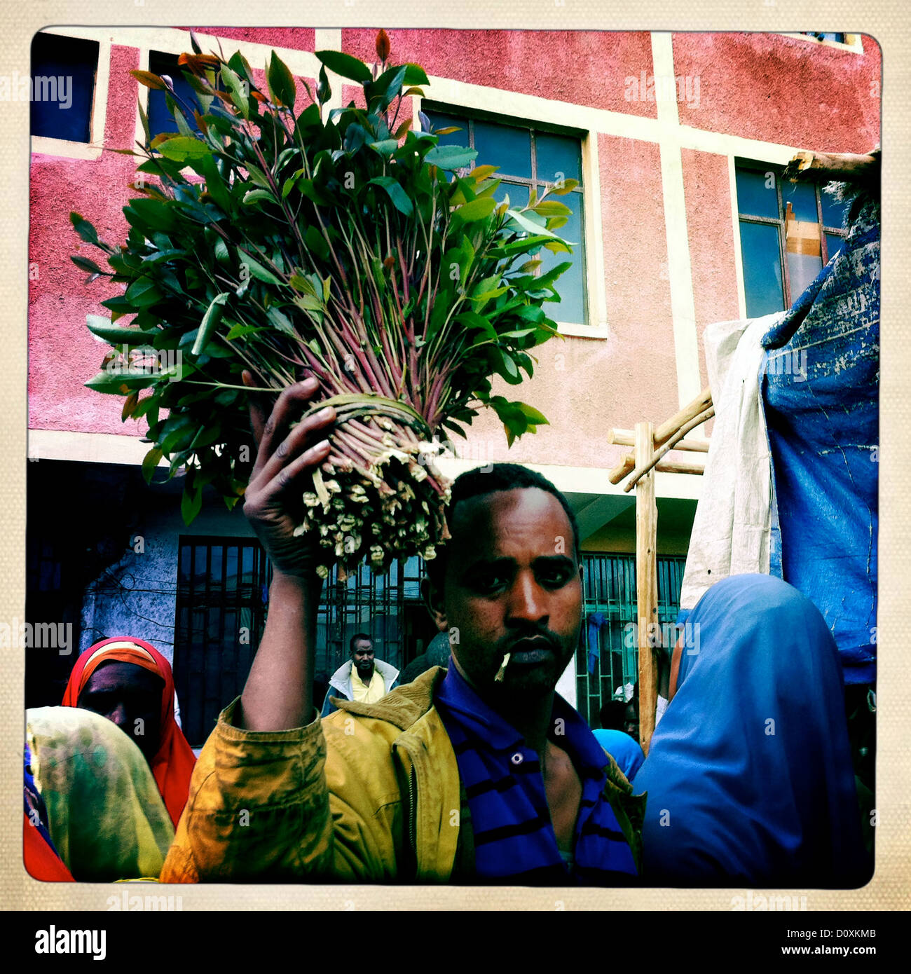 Awaday Khat Market Near Harar Ethiopia Stock Photo Alamy