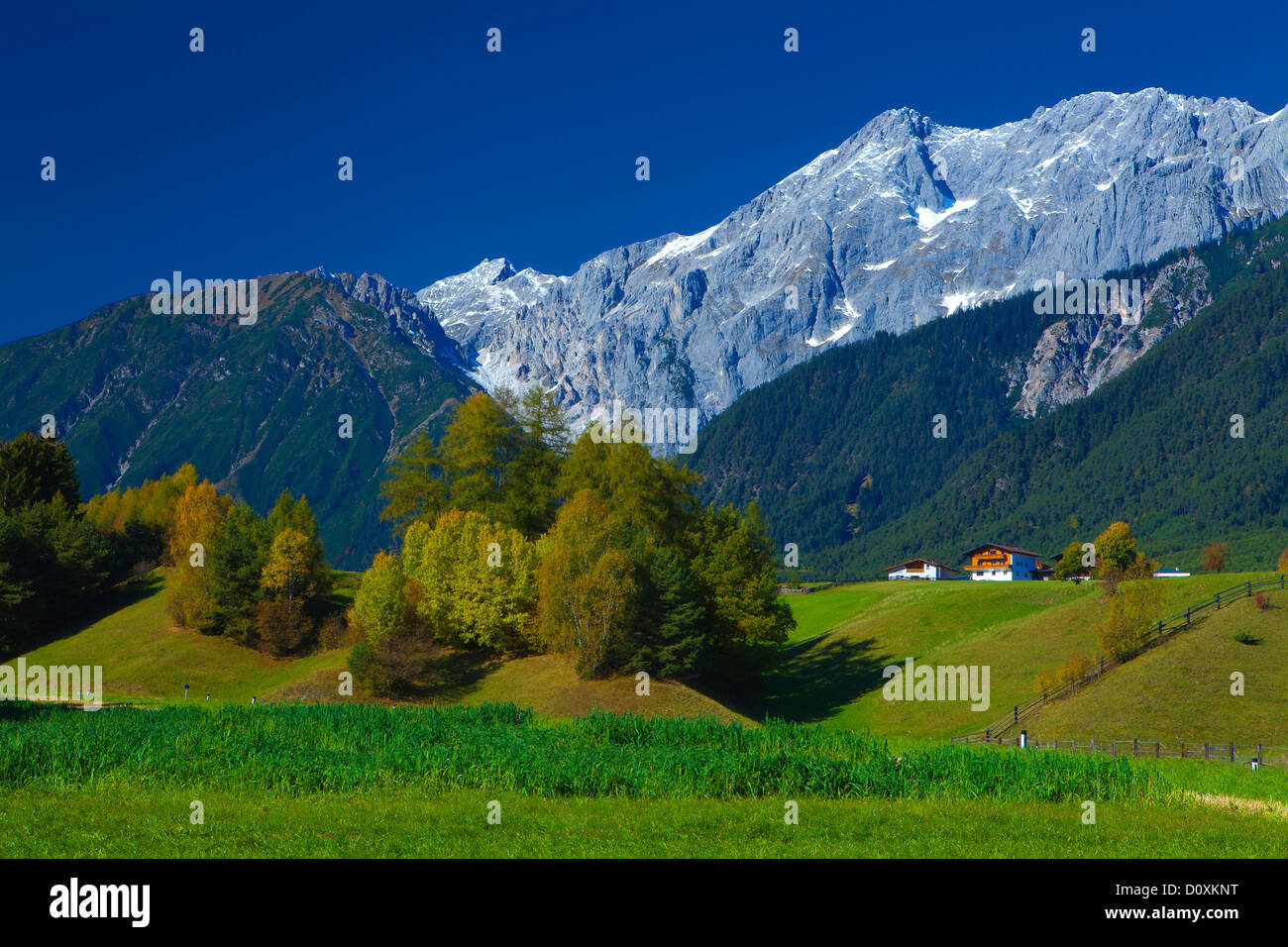 Austria, Europe, Tyrol, Tirol, Mieming, chain, plateau, Wildermieming, houses, homes, meadow, trees, mountains, Mieming, chain, Stock Photo