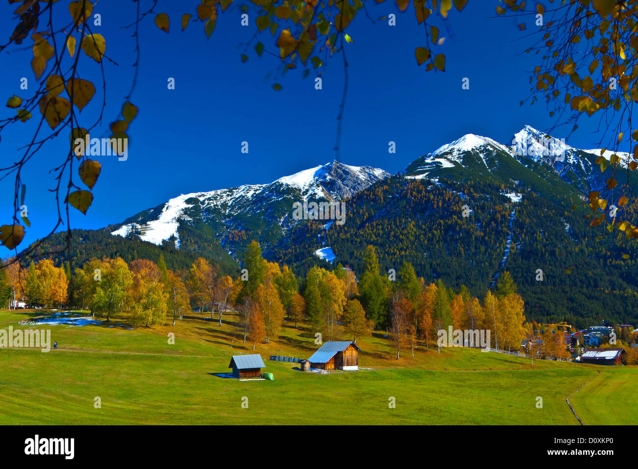 Austria, Europe, Tyrol, Tirol, Seefeld, autumn, Reither Spitzer, Reither, point, peak, Karwendel, snow, birches, Yellow, blue, w Stock Photo