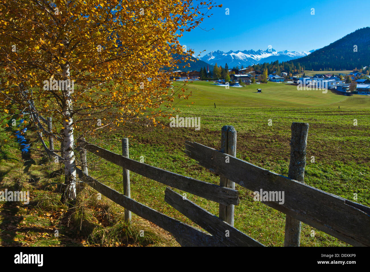 Austria, Europe, Tyrol, Tirol, Seefeld, meadow, fence, place, mountains, Kalkkögel, birch, birches, Yellow, green, sky, vacation Stock Photo