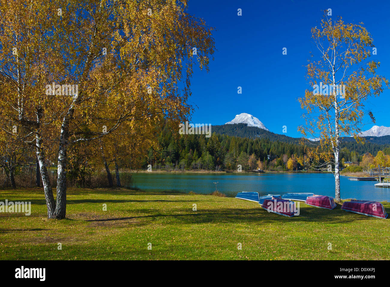 Austria, Europe, Tyrol, Tirol, Seefeld, wild lake, autumn, boats, water, meadow, birches, mountain, rest, rest, Yellow, blue, sk Stock Photo