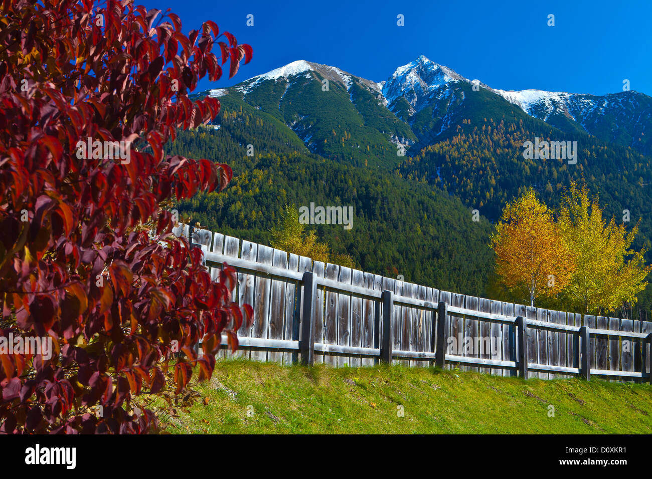 Austria, Europe, Tyrol, Tirol, Seefeld, Reither Spitzer, Reither, point, peak, Karwendel, fence, Red, Yellow, green, meadow, mou Stock Photo