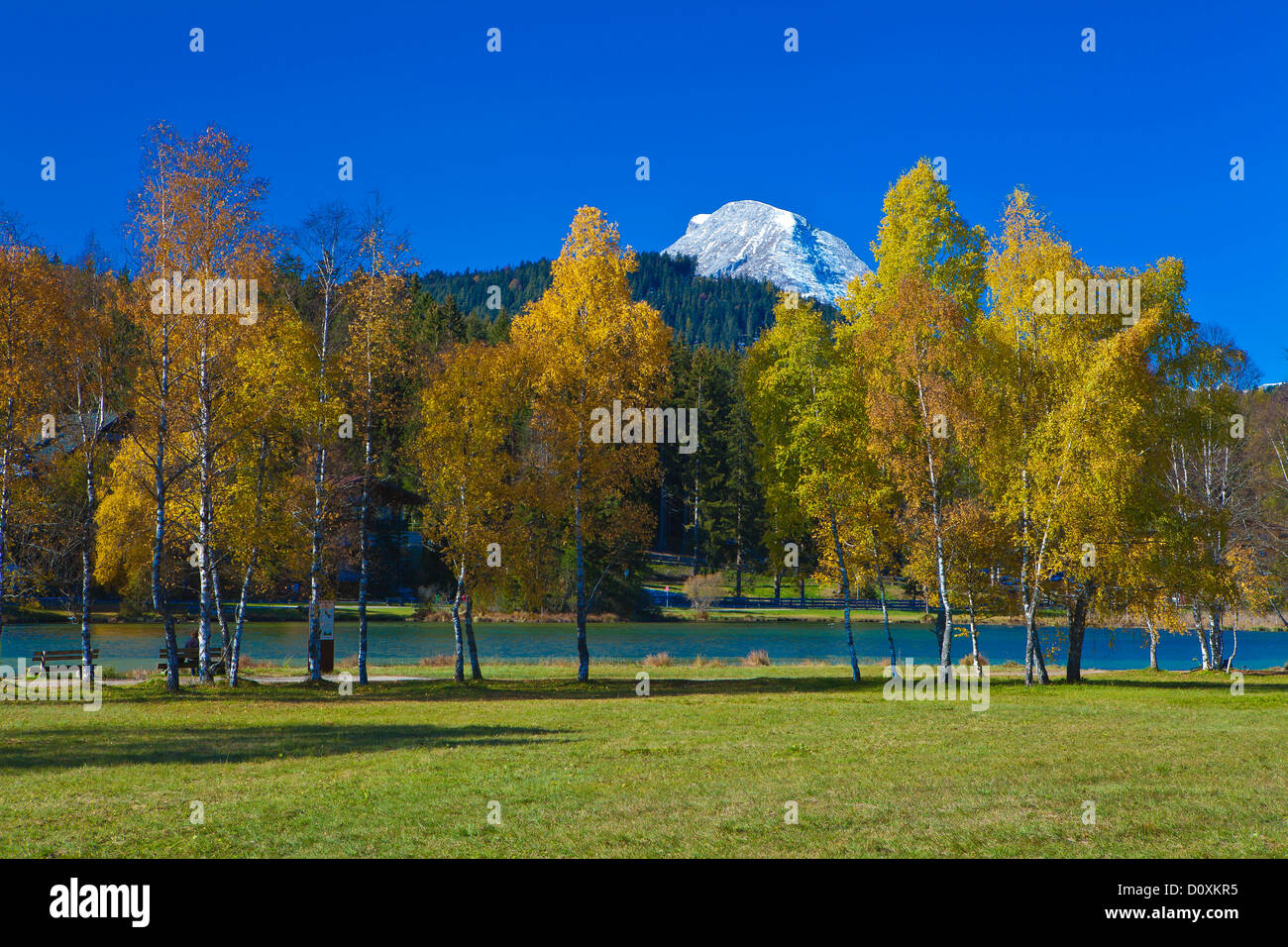 Austria, Europe, Tyrol, Tirol, Seefeld, wild lake, lake, mountain lake, water, summit, peak, mountain, rest, rest, trees, birche Stock Photo