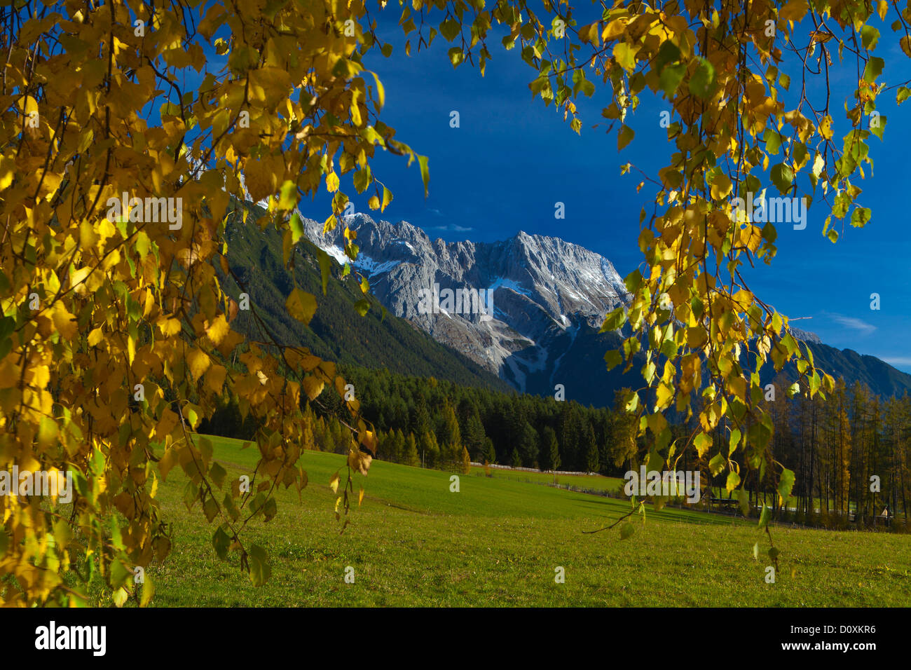 Austria, Europe, Tyrol, Tirol, Mieming, chain, plateau, Obsteig, Mieming, chain, Hochplattig, mountains, mountains, lime alps, A Stock Photo