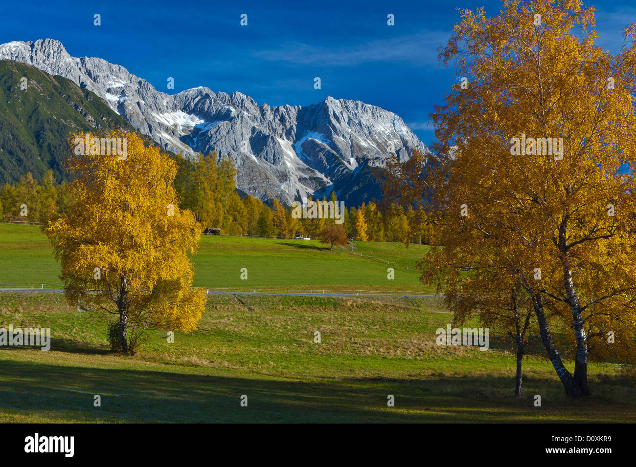 Austria, Europe, Tyrol, Tirol, Mieming, chain, plateau, Obsteig, autumn, birches, Yellow, blue, green, snow, meadow, mountains, Stock Photo