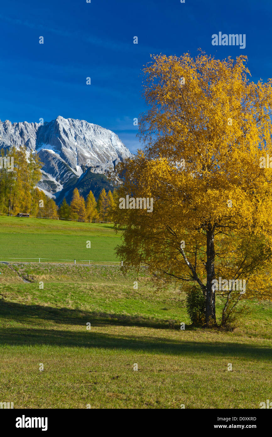 Austria, Europe, Tyrol, Tirol, Mieming, chain, plateau, Obsteig, birch, Yellow, blue, green, sky, mountain, summit, peak, Hochpl Stock Photo