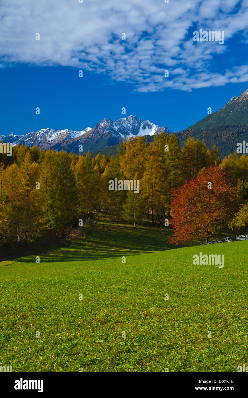 Austria, Europe, Tyrol, Tirol, Mieming, chain, plateau, Obsteig, Holzleiten, autumn, meadow, cherry tree, trees, wood, forest, l Stock Photo