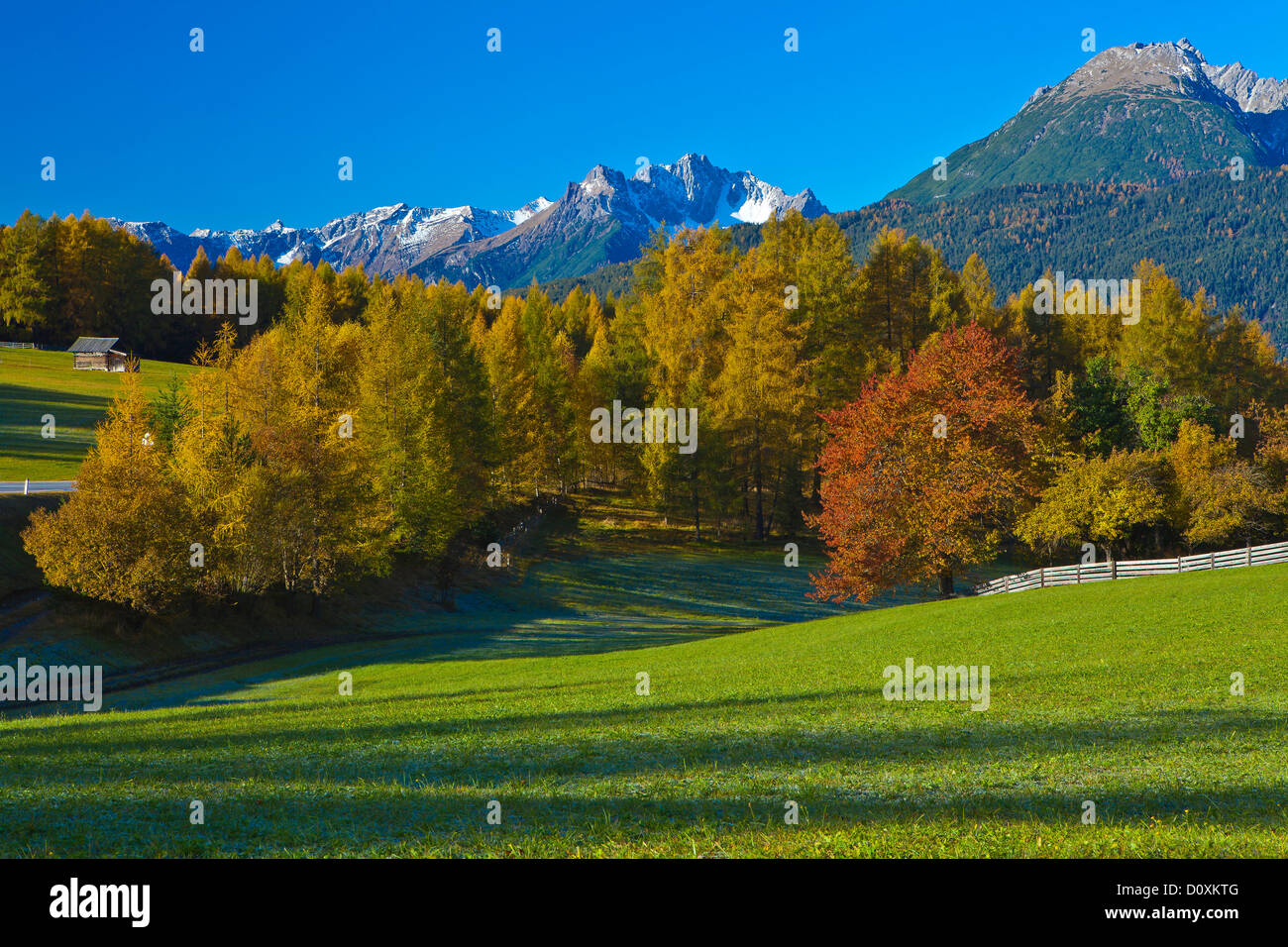 Austria, Europe, Tyrol, Tirol, Obsteig, Holzleiten, autumn, colorful, meadow, white frost, shade, green, Yellow, Red, blue, whit Stock Photo