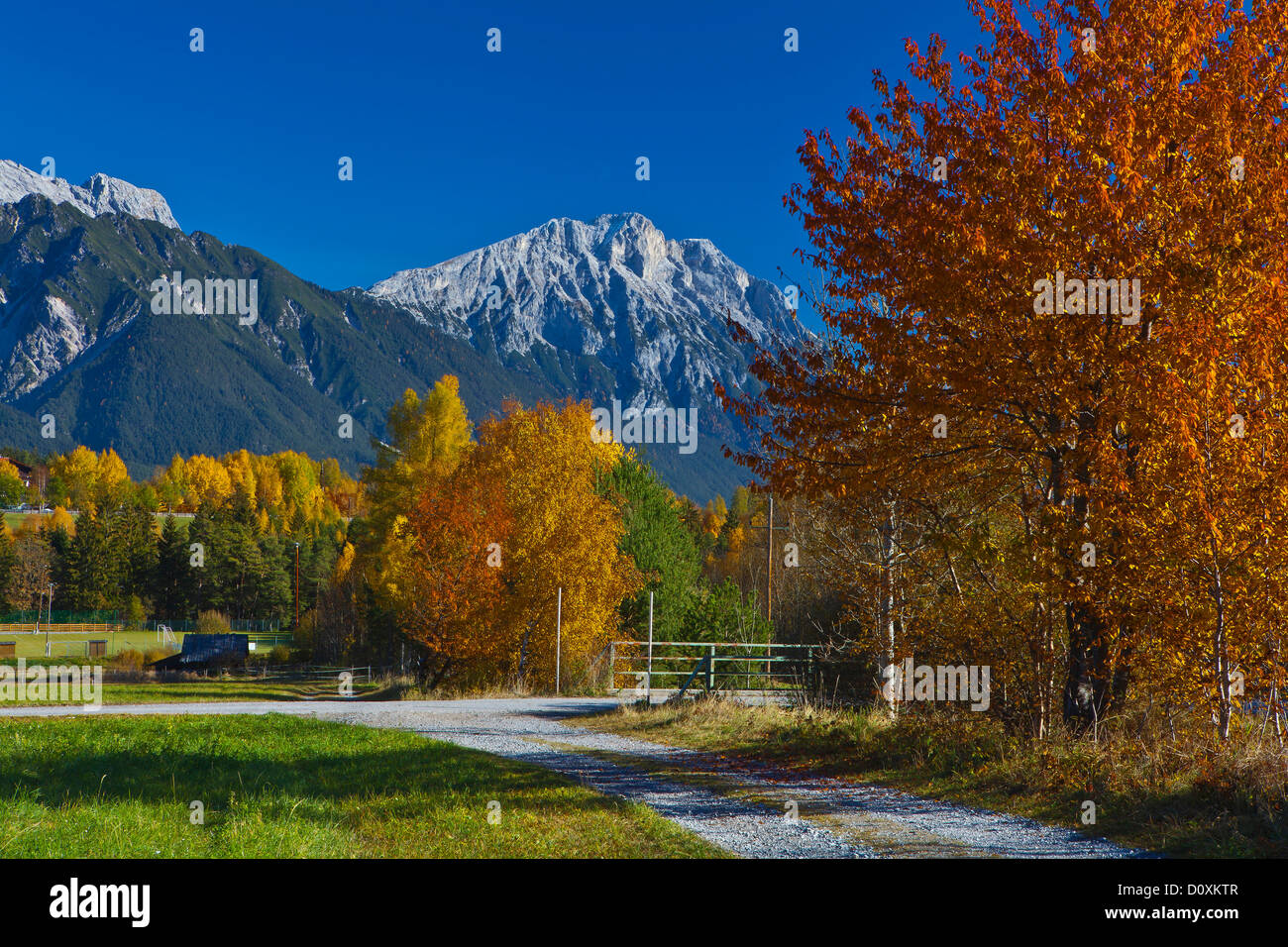 Austria, Europe, Tyrol, Tirol, Mieming, chain, plateau, Obsteig, autumn, trees, colorful, mountain, rest, rest, Mieming, chain, Stock Photo