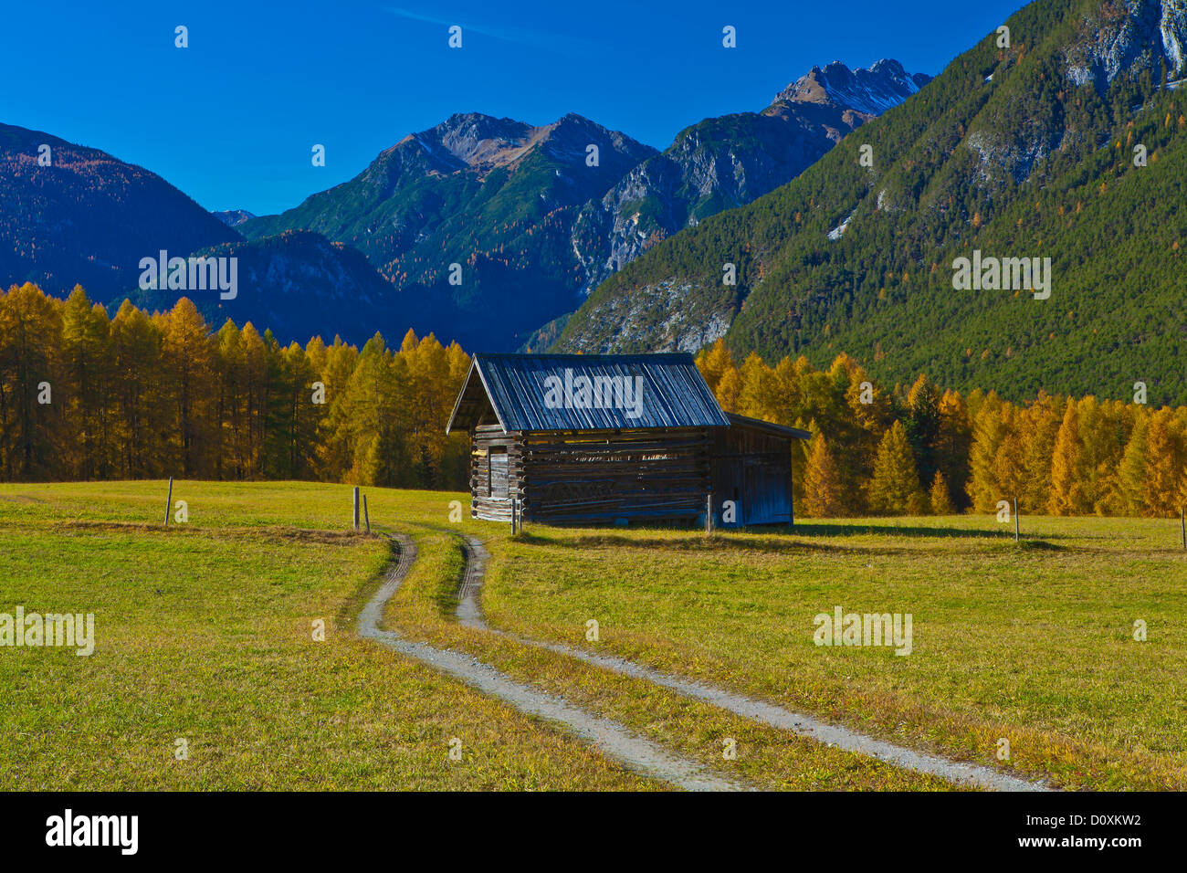 Austria, Europe, Tyrol, Tirol, Mieming, chain, plateau, Obsteig, Holzleiten, Holzleitensattel, meadow, Stadel, way, country lane Stock Photo