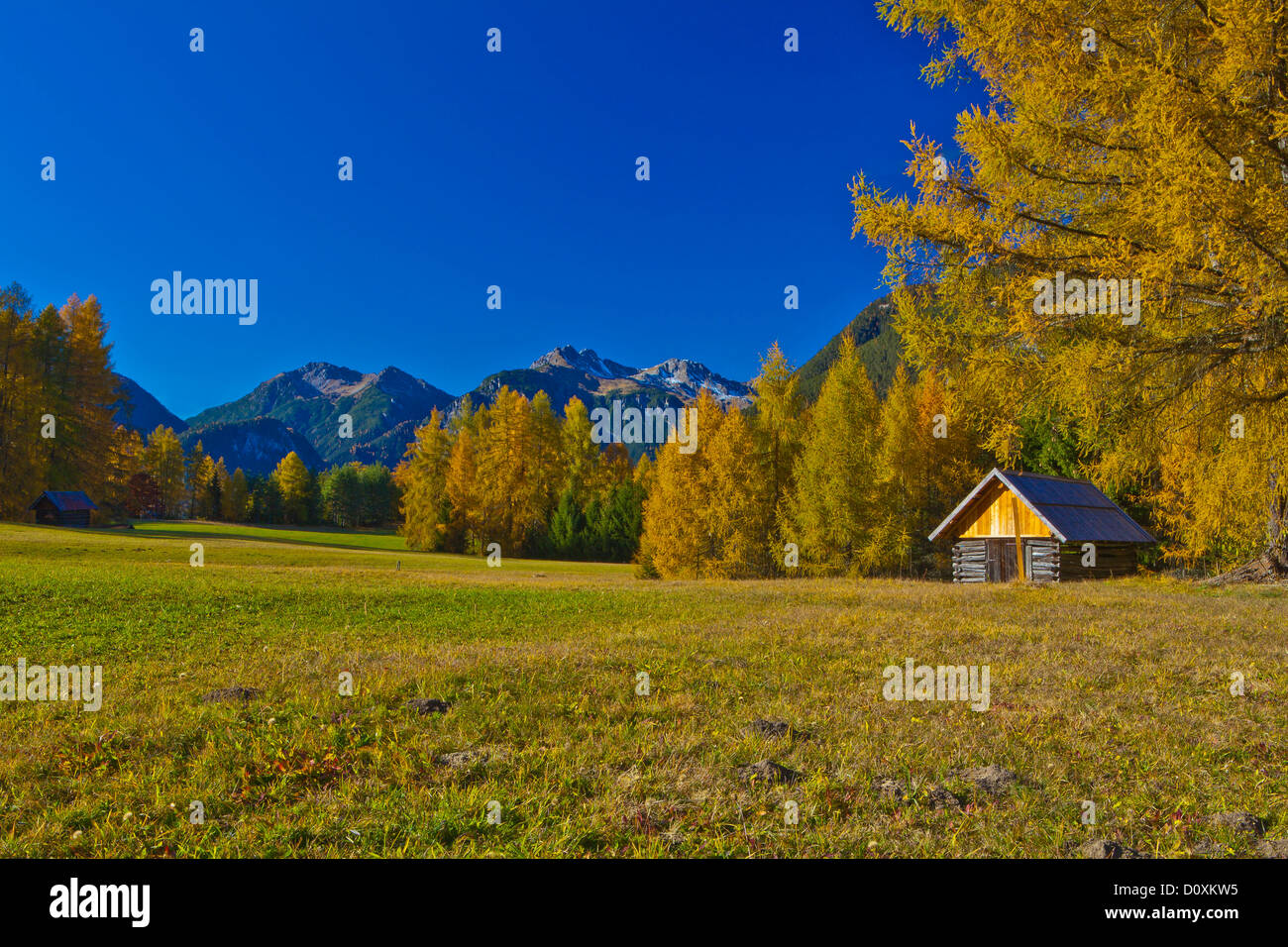 Austria, Europe, Tyrol, Tirol, Mieming, chain, plateau, Obsteig, Holzleiten, meadow, Stadel, trees, larches, Yellow, green, blue Stock Photo