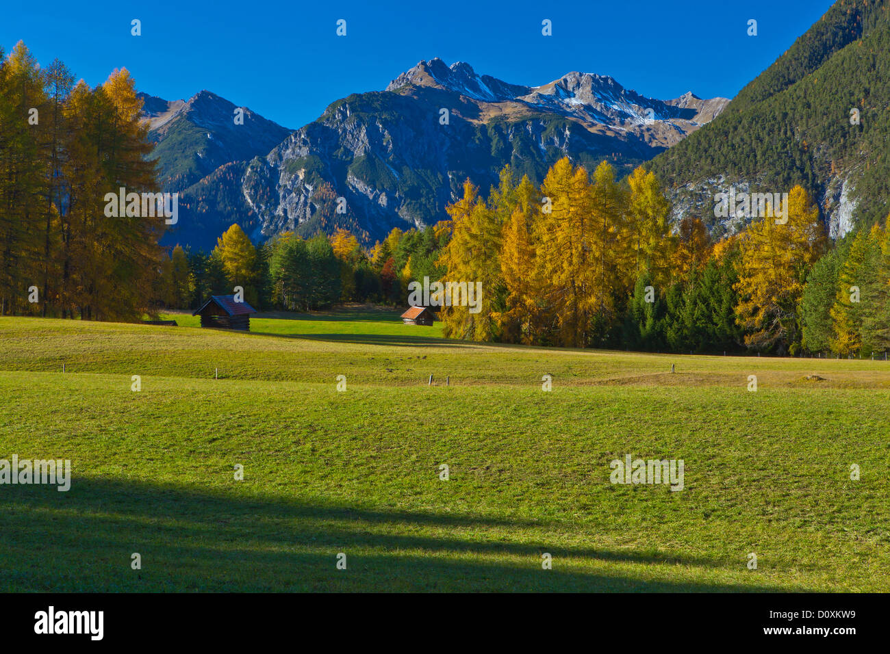 Austria, Europe, Tyrol, Tirol, Mieming, chain, plateau, Obsteig, larch meadows, Stadel, meadow, trees, mountains, Lechtal Alps, Stock Photo