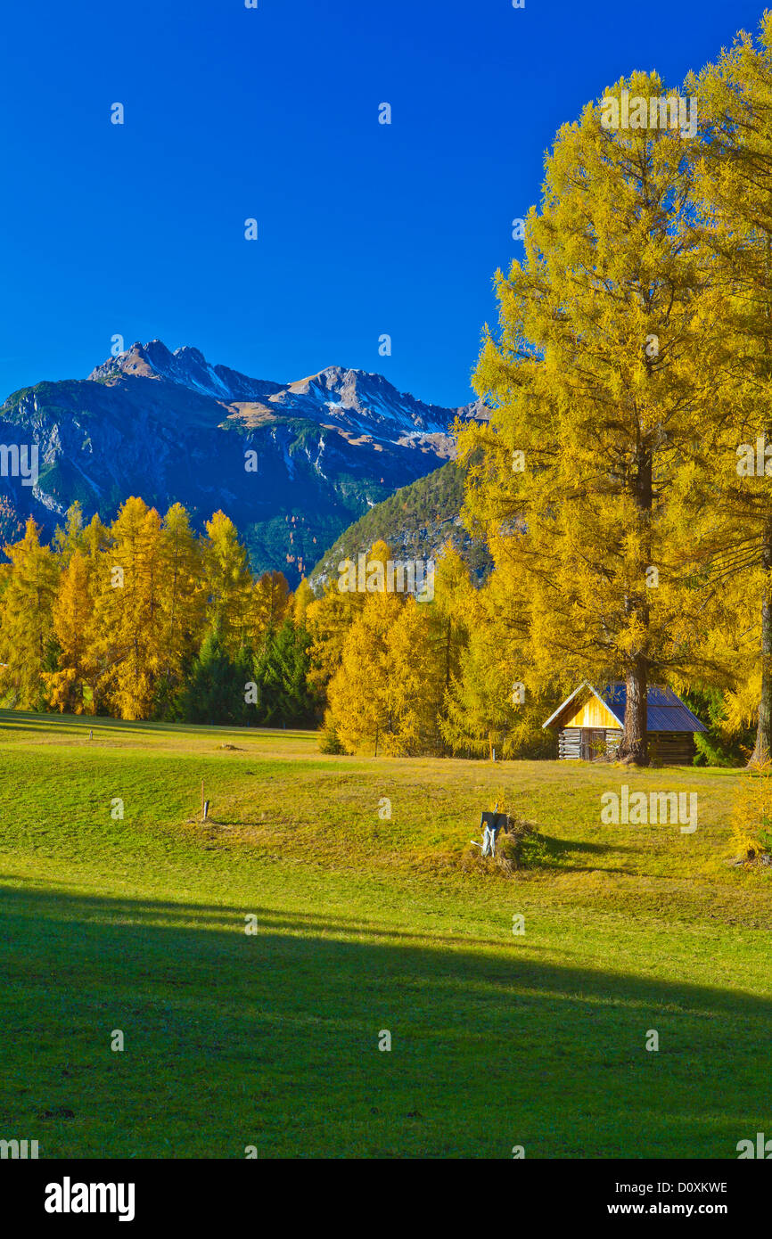 Austria, Europe, Tyrol, Tirol, Mieming, chain, plateau, Obsteig, larch meadows, Holzleiten, Stadel, larches, Yellow, autumn, sky Stock Photo