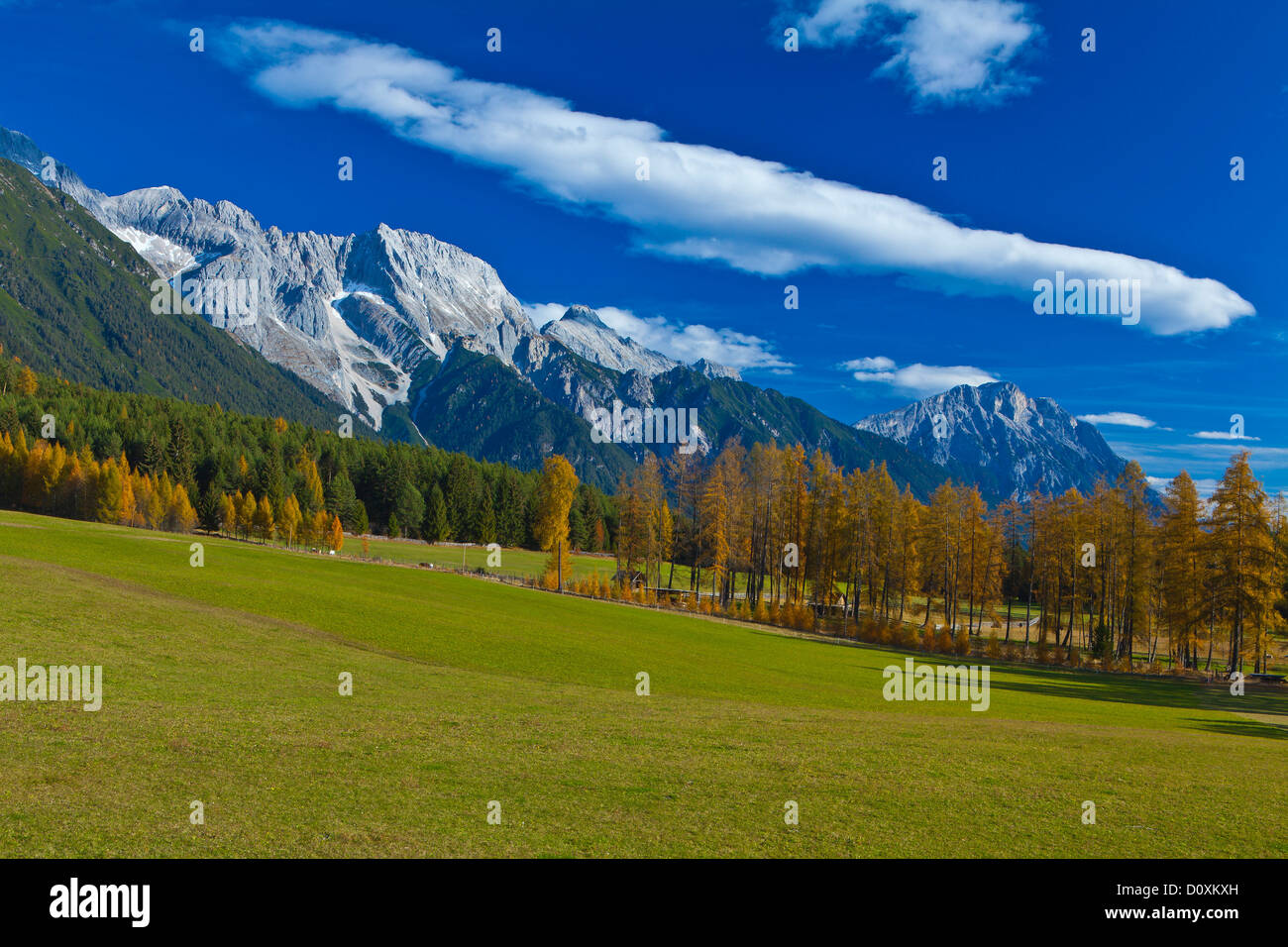Austria, Europe, Tyrol, Tirol, Mieming, chain, plateau, Obsteig, meadow, wood, forest, larches, spruces, mountains, mountains, M Stock Photo