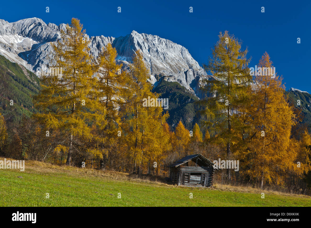Austria Europe Tyrol Tirol Mieming chain plateau Obsteig autumn meadow Stadel mountains Hochplattig Mieming chain Stock Photo