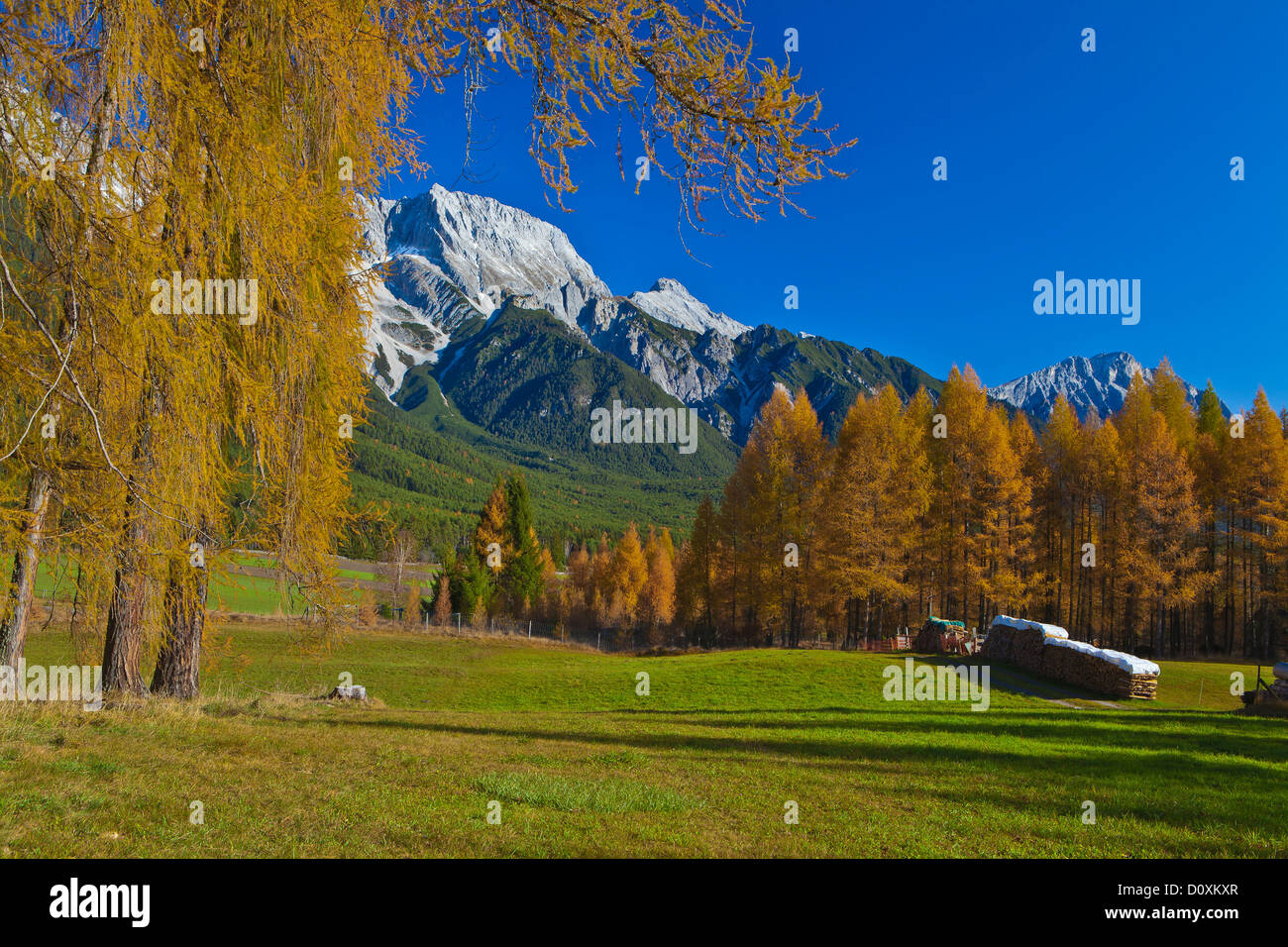 Austria, Europe, Tyrol, Tirol, Mieming, chain, plateau, Obsteig, larches, meadow, mountains, Hochplattig, lime alps, nature, man Stock Photo