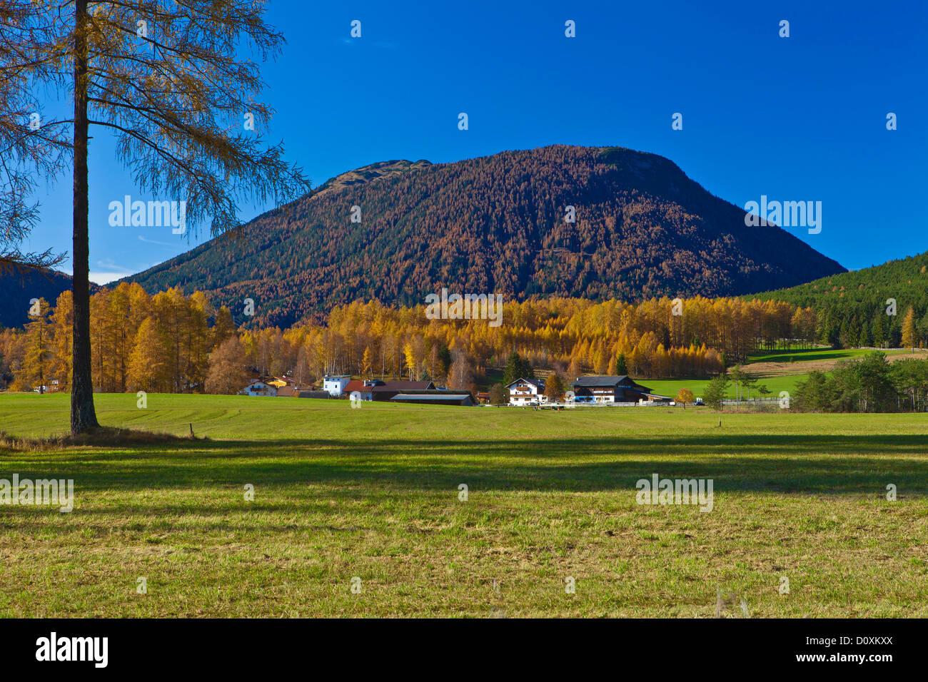 Austria, Europe, Tyrol, Tirol, Obsteig, Gschwent, autumn, larches, Simmering, meadow, wood, forest, Yellow, blue, nature Stock Photo