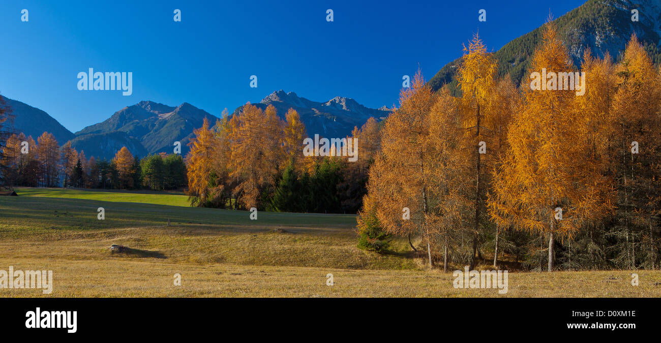 Austria, Europe, Tyrol, Tirol, Mieming, chain, plateau, Obsteig, Holzleiten, meadows, larches, autumn, mountains, Lechtal Alps, Stock Photo